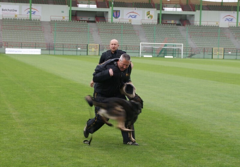 Zdjęcie 13: Ruszyła kampania 