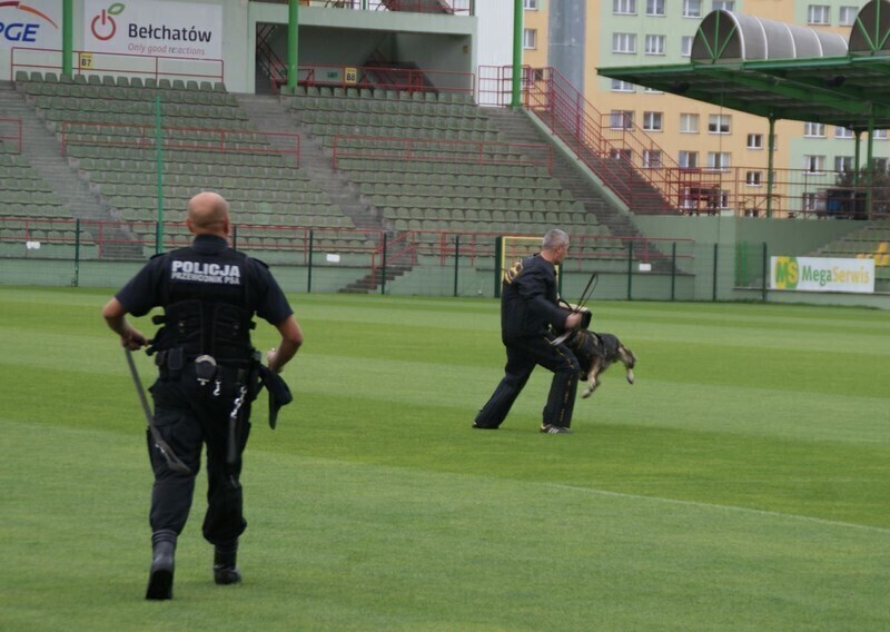 Zdjęcie 14: Ruszyła kampania 