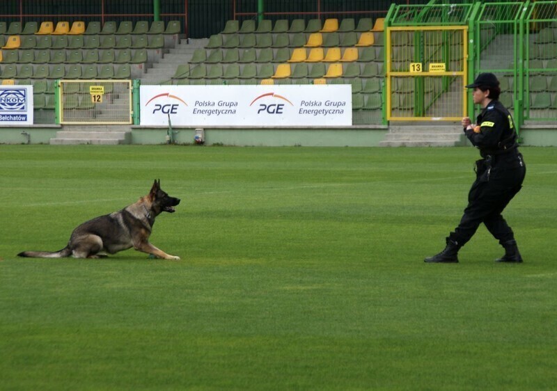 Zdjęcie 15: Ruszyła kampania 