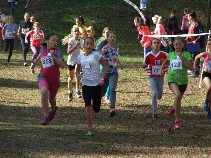 Powiat piotrkowski okazał się najlepszy