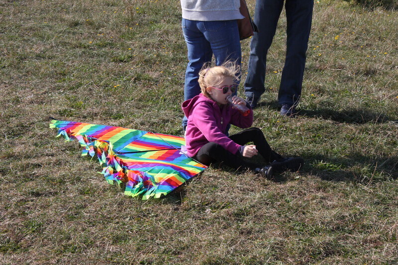 Zdjęcie 3: Święto latawca na lotnisku w Piotrkowie