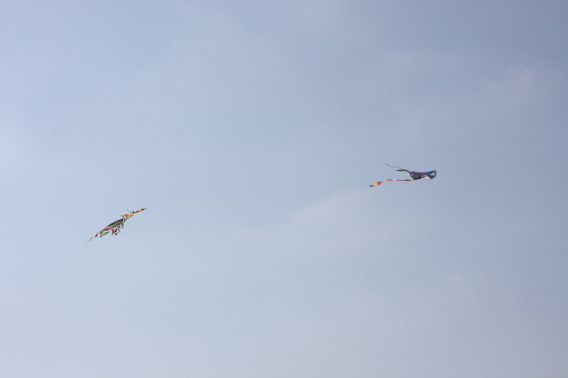 Zdjęcie 11: Święto latawca na lotnisku w Piotrkowie