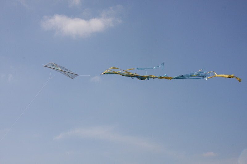 Zdjęcie 27: Święto latawca na lotnisku w Piotrkowie