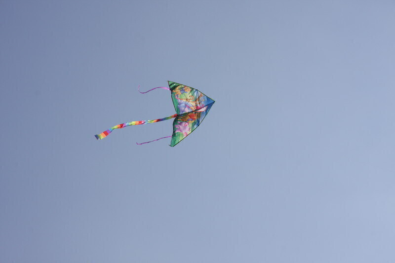 Zdjęcie 35: Święto latawca na lotnisku w Piotrkowie