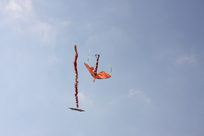 Zdjęcie 36: Święto latawca na lotnisku w Piotrkowie