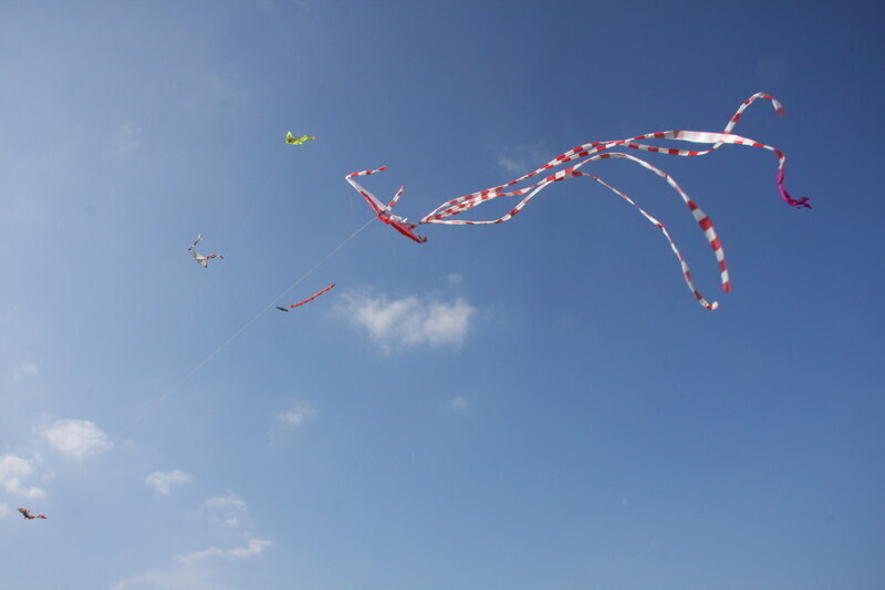 Zdjęcie 37: Święto latawca na lotnisku w Piotrkowie