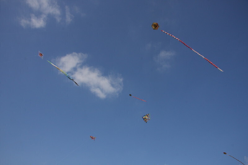 Zdjęcie 40: Święto latawca na lotnisku w Piotrkowie