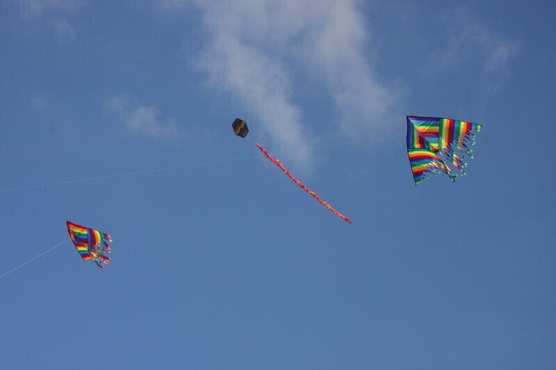 Zdjęcie 43: Święto latawca na lotnisku w Piotrkowie