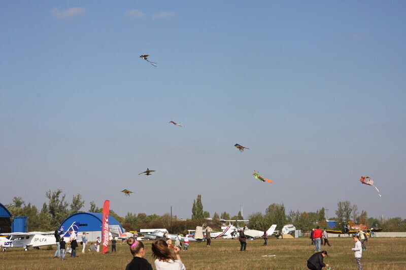 Zdjęcie 45: Święto latawca na lotnisku w Piotrkowie