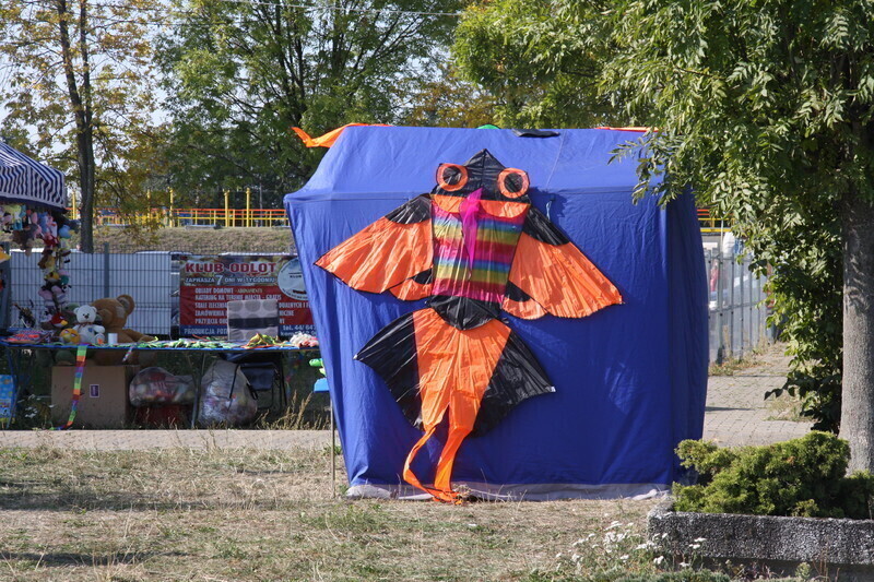 Zdjęcie 57: Święto latawca na lotnisku w Piotrkowie