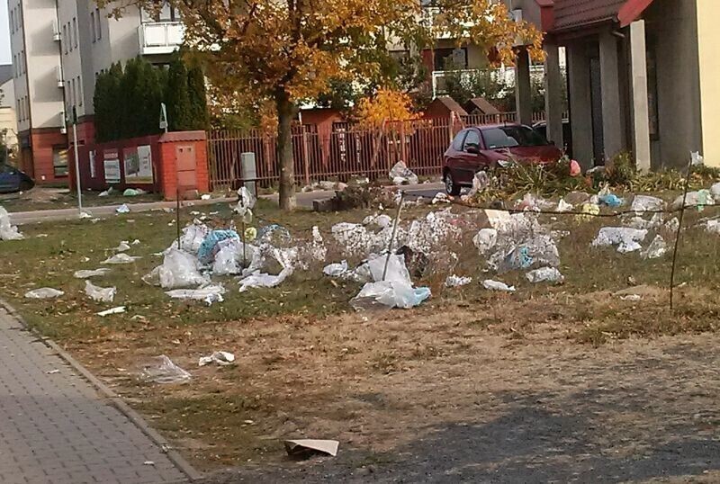 Zdjęcie 2: Śmietnisko po niedzielnym targowisku