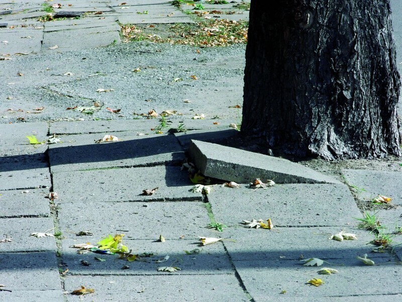 Zdjęcie 7: Na piotrkowskich chodnikach można skręcić kark