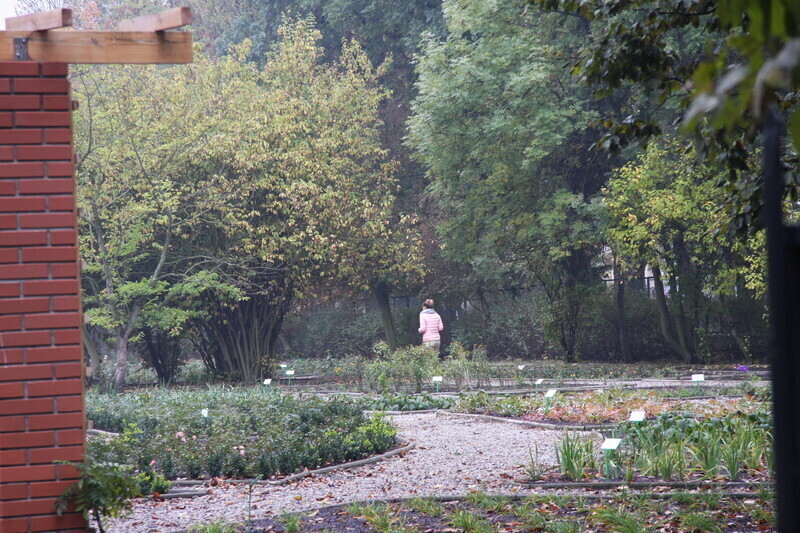 Zdjęcie 8: Park  Poniatowskiego dostępny dla mieszkańców