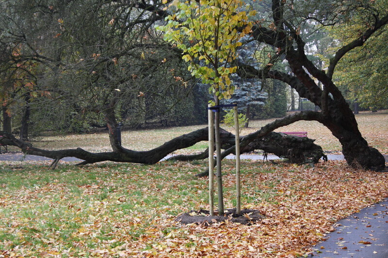 Zdjęcie 11: Park  Poniatowskiego dostępny dla mieszkańców