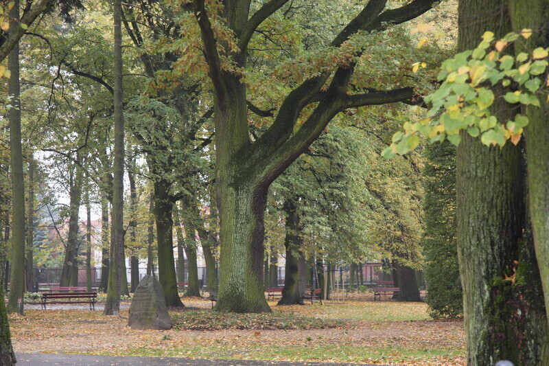 Zdjęcie 12: Park  Poniatowskiego dostępny dla mieszkańców
