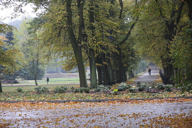 Zdjęcie 13: Park  Poniatowskiego dostępny dla mieszkańców
