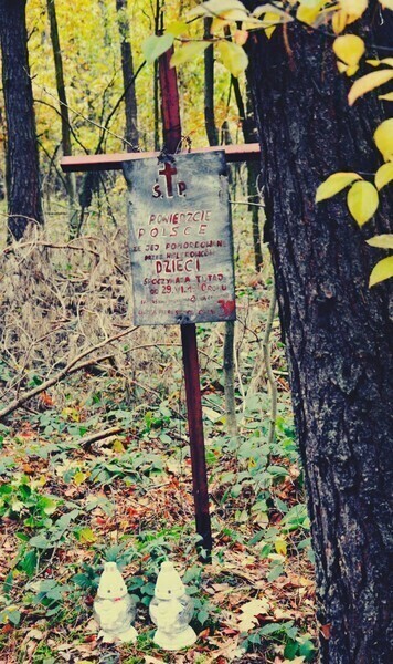 Zdjęcie 4: Zadbali o groby na Starym Cmentarzu 