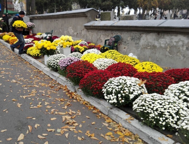 1 listopada - Czas zadumy i refleksji