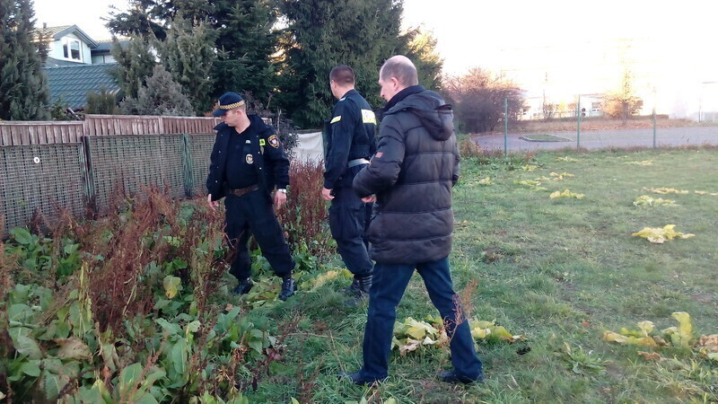 Zdjęcie 9: Martwe sarny na lądowisku szpitala (AKTUALIZACJA)