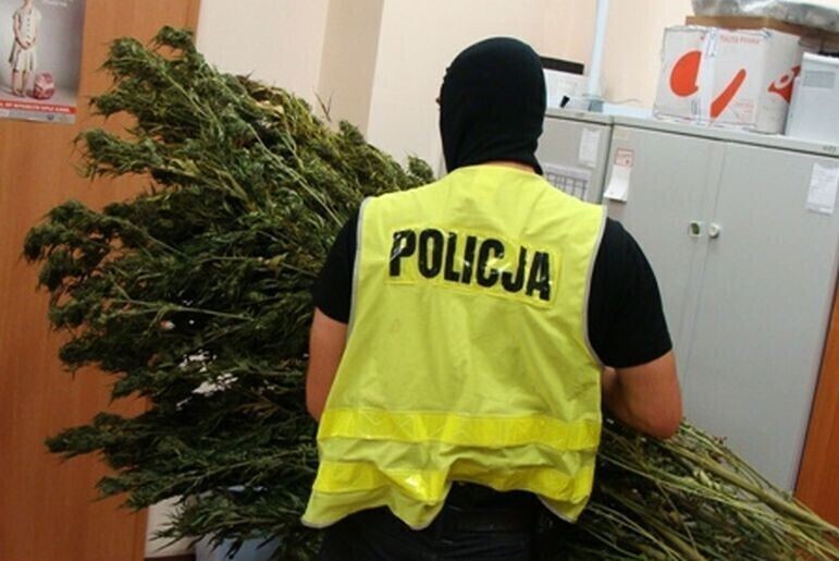 Zdjęcie 3: Zamiast bielizny na strychu suszył narkotyki 