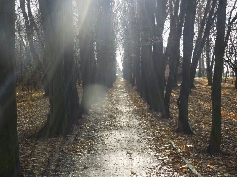 Zdjęcie 2: Plac zabaw, siłownia i taras w parku Belzackim 