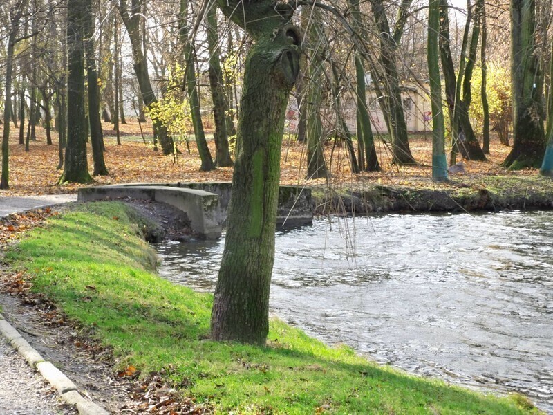 Zdjęcie 5: Plac zabaw, siłownia i taras w parku Belzackim 