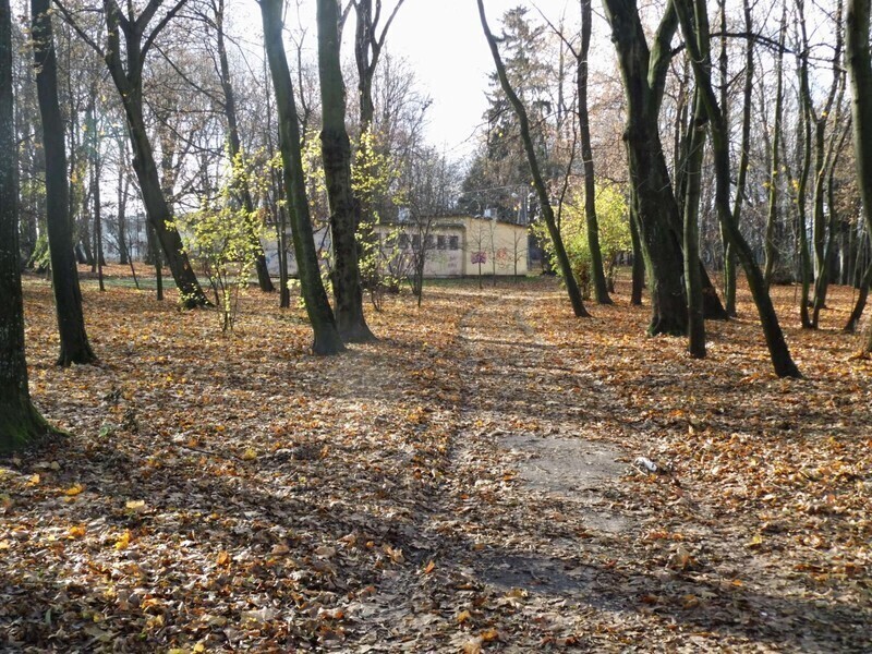 Zdjęcie 6: Plac zabaw, siłownia i taras w parku Belzackim 