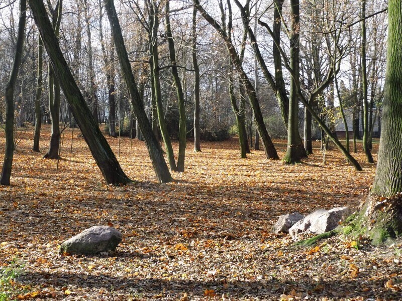 Zdjęcie 7: Plac zabaw, siłownia i taras w parku Belzackim 