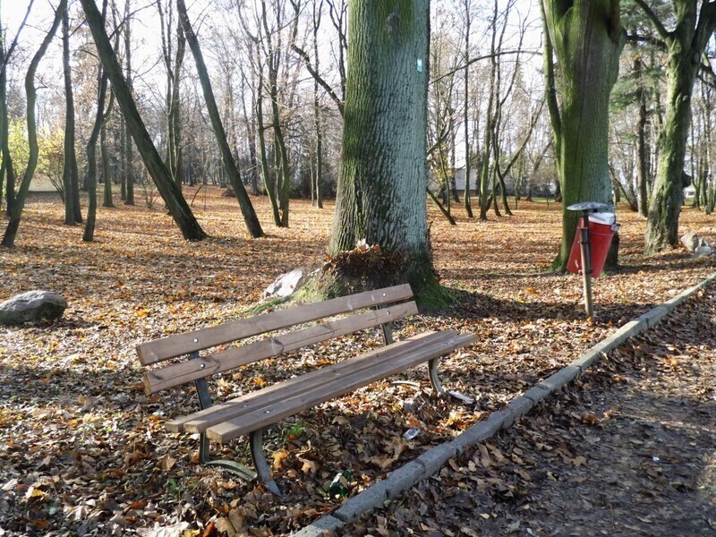 Zdjęcie 8: Plac zabaw, siłownia i taras w parku Belzackim 