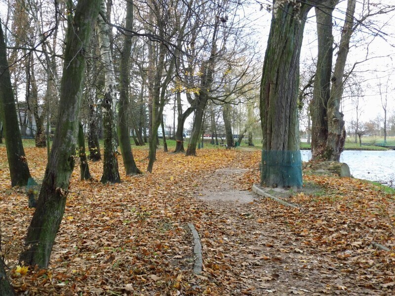 Zdjęcie 10: Plac zabaw, siłownia i taras w parku Belzackim 