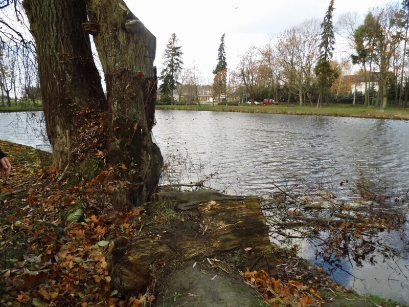 Zdjęcie 11: Plac zabaw, siłownia i taras w parku Belzackim 