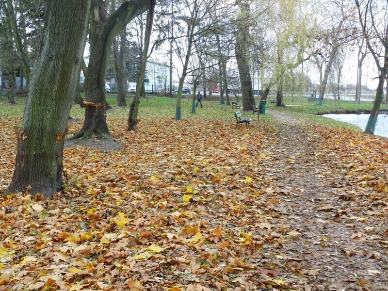 Zdjęcie 12: Plac zabaw, siłownia i taras w parku Belzackim 