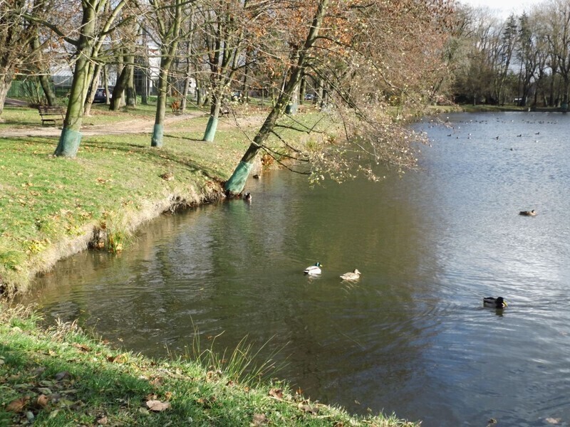 Zdjęcie 14: Plac zabaw, siłownia i taras w parku Belzackim 