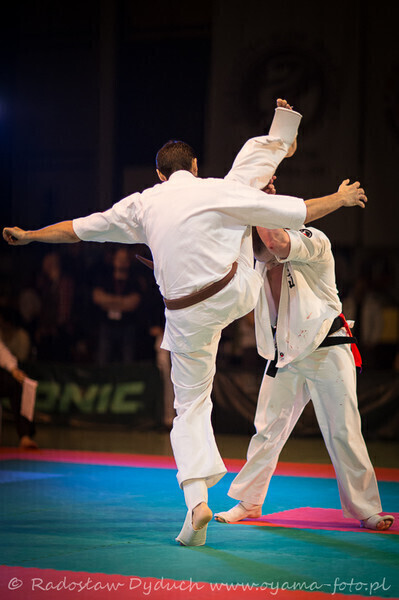 Zdjęcie 2: Karatecy pokazali klasę