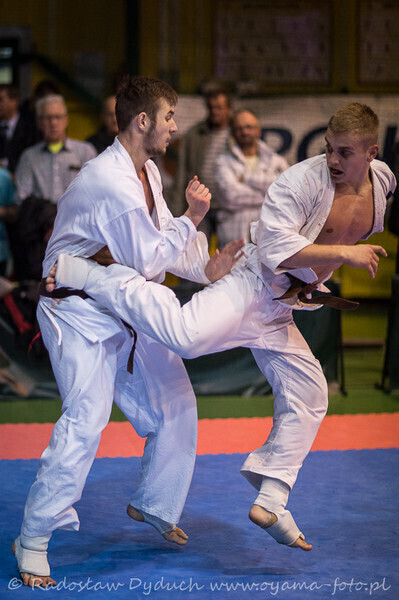 Zdjęcie 3: Karatecy pokazali klasę