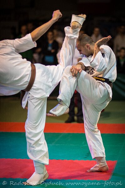 Zdjęcie 4: Karatecy pokazali klasę