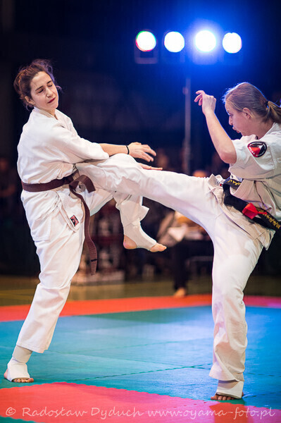 Zdjęcie 5: Karatecy pokazali klasę