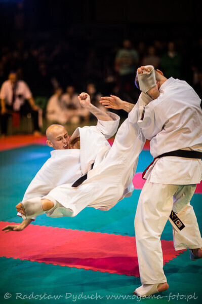 Zdjęcie 6: Karatecy pokazali klasę