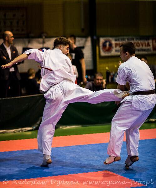 Zdjęcie 9: Karatecy pokazali klasę