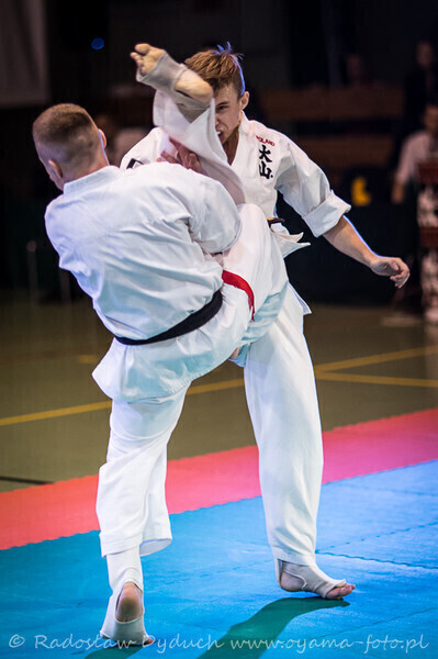 Zdjęcie 10: Karatecy pokazali klasę