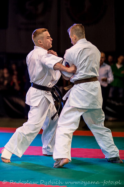 Zdjęcie 11: Karatecy pokazali klasę