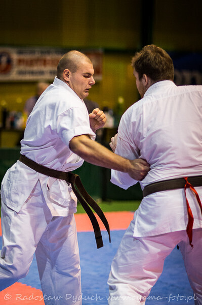 Zdjęcie 12: Karatecy pokazali klasę