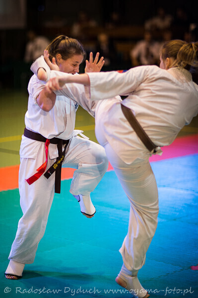 Zdjęcie 13: Karatecy pokazali klasę