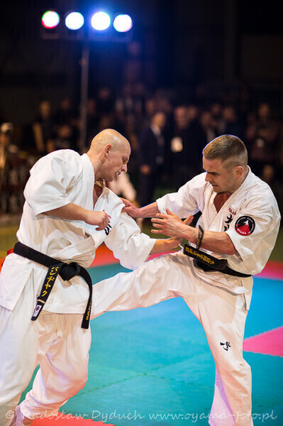 Zdjęcie 15: Karatecy pokazali klasę