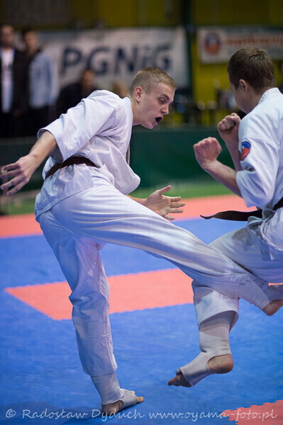 Zdjęcie 17: Karatecy pokazali klasę