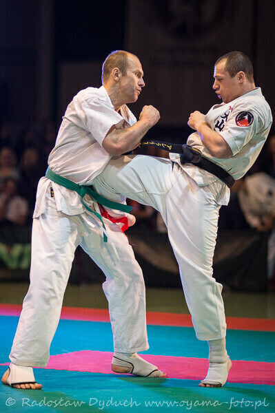 Zdjęcie 18: Karatecy pokazali klasę