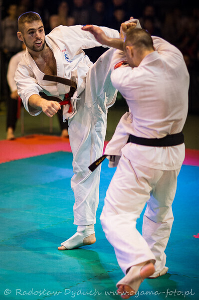 Zdjęcie 19: Karatecy pokazali klasę