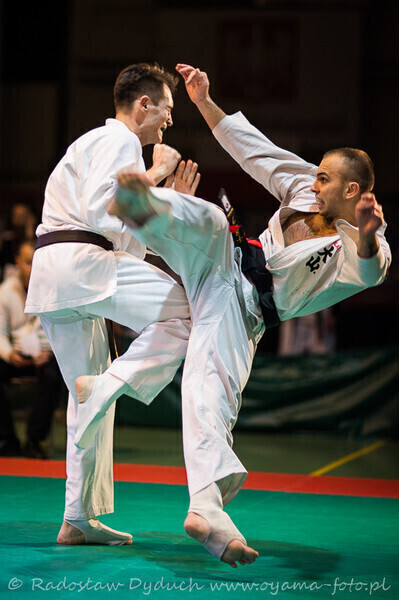 Zdjęcie 20: Karatecy pokazali klasę