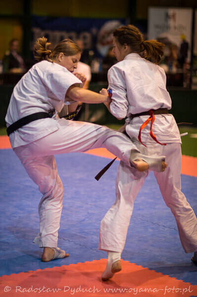 Zdjęcie 22: Karatecy pokazali klasę