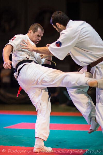 Zdjęcie 23: Karatecy pokazali klasę